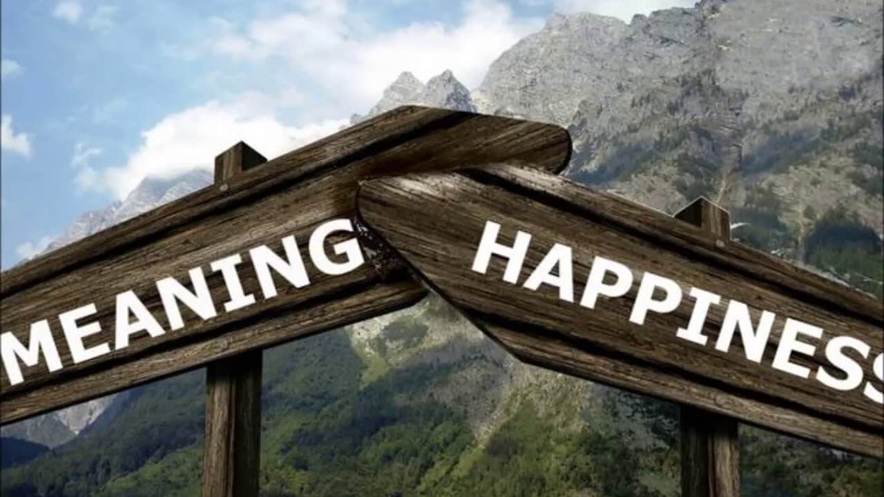 Meaning Vs. Happiness